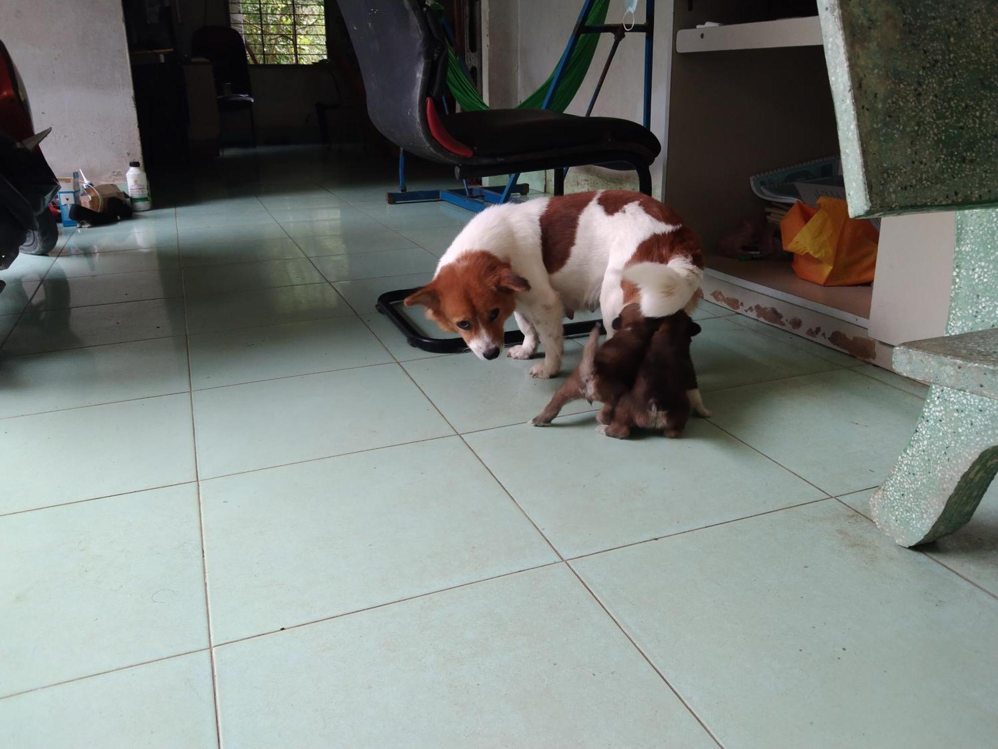 Quoc Phuong Riverside Homestay Ben Tre 외부 사진